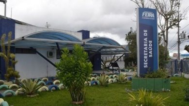 Photo of Feira de Santana registra segundo caso de raiva em morcego neste ano