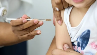 Photo of Vacina brasileira pode se tornar alternativa para campanha de vacinação anual contra a COVID-19