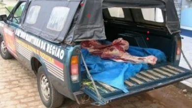 Photo of Um terço dos municípios baianos têm casos de abate clandestino, revela pesquisa da Adab