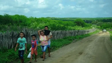 Photo of “Bahia Profunda”: Apenas 2 a cada 10 baianos vivem na zona rural em 2024