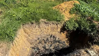 Photo of Gerente regional da Embasa é preso e leva multa de R$ 380 mil por crime ambientam em Itamaraju