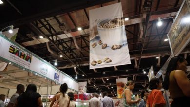 Photo of Salvador receberá maior festival de chocolate da América Latina