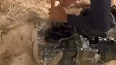 Photo of Polícia encontra mais de R$ 1 milhão em cocaína próximo de resort na praia de Sauípe