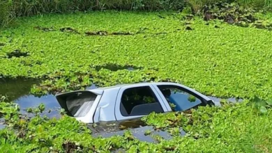 Photo of Carro com três pessoas cai em lagoa às margens de rodovia BA-647 no sudoeste baiano