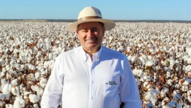 Photo of Produtor de algodão do oeste baiano é destaque na Forbes