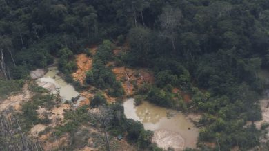 Photo of Dois indígenas da etnia Yanomami morrem em queda de helicóptero