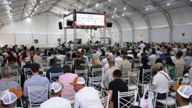 Photo of Oeste da Bahia consolida nova fronteira do cacau com abertura da Cacauicultura 4.0 em Barreiras