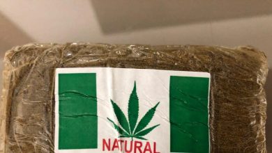 Photo of R$ 60 mil em drogas são apreendidos e cinco pessoas são presas em operação na Bahia