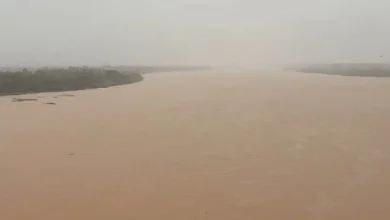 Photo of Nível do São Francisco volta a subir em Bom Jesus da Lapa após chegada das chuvas