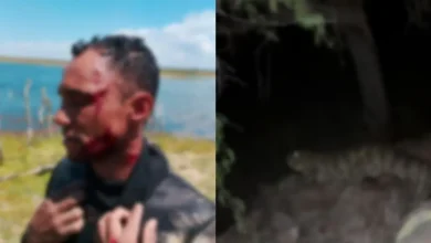 Photo of Pescador é atacado por jacaré em trecho de Rio São Francisco na Bahia