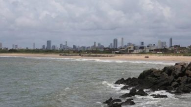 Photo of Adolescente morre após ser atacado por tubarão em Pernambuco