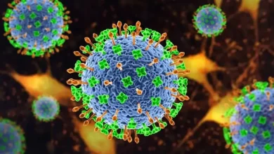 Photo of Índia entra em estado de emergência em surto do vírus letal Nipah e deixa 100 pessoas em quarentena