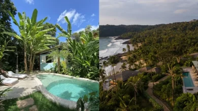 Photo of Bahia tem três destinos em lista nacional de refúgios ecológicos de luxo para 2026
