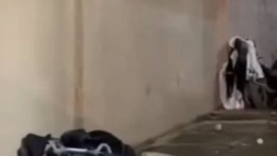 Photo of Homem empurra cadeirante de prédio no Recife e se joga após crime