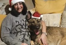 Photo of Mulher perde mãos e pés após sepse possivelmente desencadeada por lambida do próprio cão