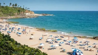 Photo of Alvarás para construções em praia famosa de Salvador são bloqueados pela Justiça