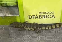 Photo of Hytalo Santos é condenado a 11 anos de prisão e marido a 8 por exploração sexual de adolescentes