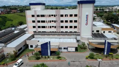 Photo of Bebê morre após ataque de pitbull no Recôncavo Baiano