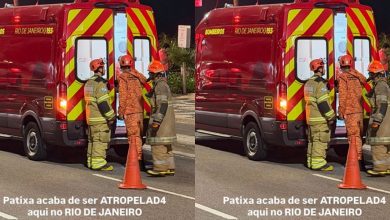Photo of Patixa Teló cai enquanto andava de patinete e é atendida por ambulância
