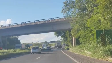 Photo of Aumento de mato é notado na BR-324 e Dnit diz que crescimento de vegetação está associado a chuvas