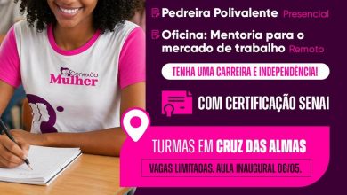 Photo of Conexão Mulher: Estão abertas as inscrições para cursos de Pintura de Obras e Pedreira em Cruz das Almas