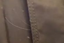 Photo of Dona Ruth, mãe de Marília Mendonça, se emociona ao encontrar fio de cabelo da filha em roupa