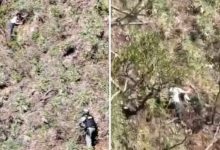 Photo of Mulher jogada de penhasco pelo ex é resgatada viva após ficar mais de 24 horas agarrada em vegetação