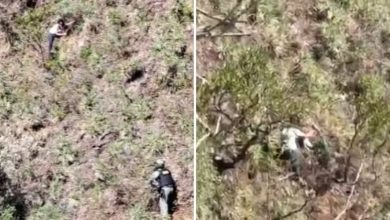 Photo of Mulher jogada de penhasco pelo ex é resgatada viva após ficar mais de 24 horas agarrada em vegetação