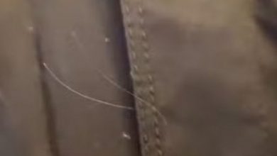 Photo of Dona Ruth, mãe de Marília Mendonça, se emociona ao encontrar fio de cabelo da filha em roupa