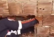 Photo of Recém-nascido abandonado entre casas morre após nove paradas cardíacas na Paraíba