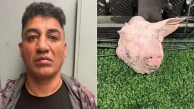 Photo of Influenciador corintiano que arremessou cabeça de porco em clássico é preso suspeito de estupro