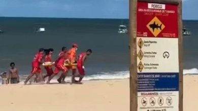 Photo of Vítimas de ataques de tubarão em Pernambuco deixam UTI após amputações