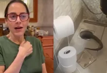 Photo of Silvia Abravanel reencontra cobra de estimação perdida no ralo de casa: “Foi dar um passeio pelo esgoto”