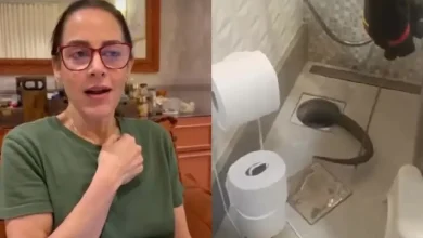 Photo of Silvia Abravanel reencontra cobra de estimação perdida no ralo de casa: “Foi dar um passeio pelo esgoto”