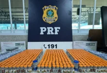 Photo of PRF apreende 720 ampolas de medicamentos emagrecedores e 14 kg de drogas em ônibus de viagem na Bahia