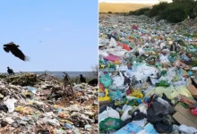 Photo of Novo Marco do Saneamento: 388 cidades ainda mantêm lixões a céu aberto na Bahia