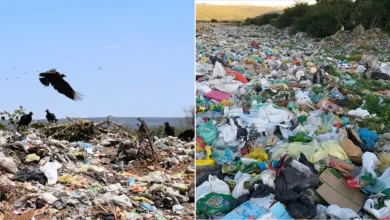 Photo of Novo Marco do Saneamento: 388 cidades ainda mantêm lixões a céu aberto na Bahia