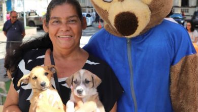 Photo of Julho Dourado: Prefeitura de Cruz promove evento para adoção de cães resgatados nesta sexta (10) na Praça Senador Temístocles