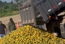 Photo of ‘Laranja na beira da estrada’: produtores baianos se unem a sergipanos para enfrentar crise
