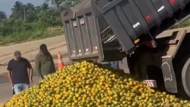 Photo of ‘Laranja na beira da estrada’: produtores baianos se unem a sergipanos para enfrentar crise