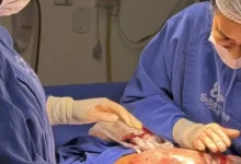 Photo of Três bebês nascem empelicados no mesmo dia em hospital do Recôncavo baiano