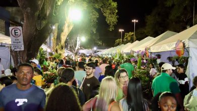 Photo of ExpoCruz 2026 acontece de 24 a 27 de setembro em Cruz das Almas