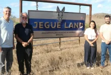 Photo of Jegue Land busca ser referência em criação de jumentos na Bahia, mas é contestada por Fórum
