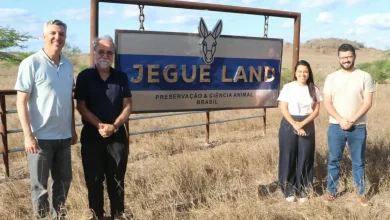 Photo of Jegue Land busca ser referência em criação de jumentos na Bahia, mas é contestada por Fórum