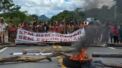 Photo of CNPI recomenda Força Nacional permanente para proteger Pataxós de milícias na Bahia
