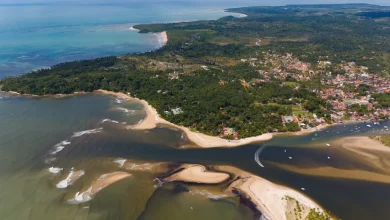 Photo of O roteiro perfeito: Conheça principais atrativos e segredos da Ilha de Boipeba