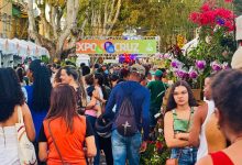Photo of ExpoCruz 2026 movimenta Cruz das Almas em quatro dias de negócios, oportunidades e grande público