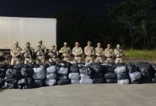 Photo of Polícia Militar apreende uma tonelada de maconha em caminhão em Simões Filho