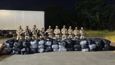 Photo of Polícia Militar apreende uma tonelada de maconha em caminhão em Simões Filho