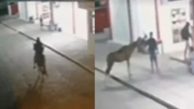 Photo of Homem usa cavalo para assaltar lanchonete de rodoviária na Bahia
